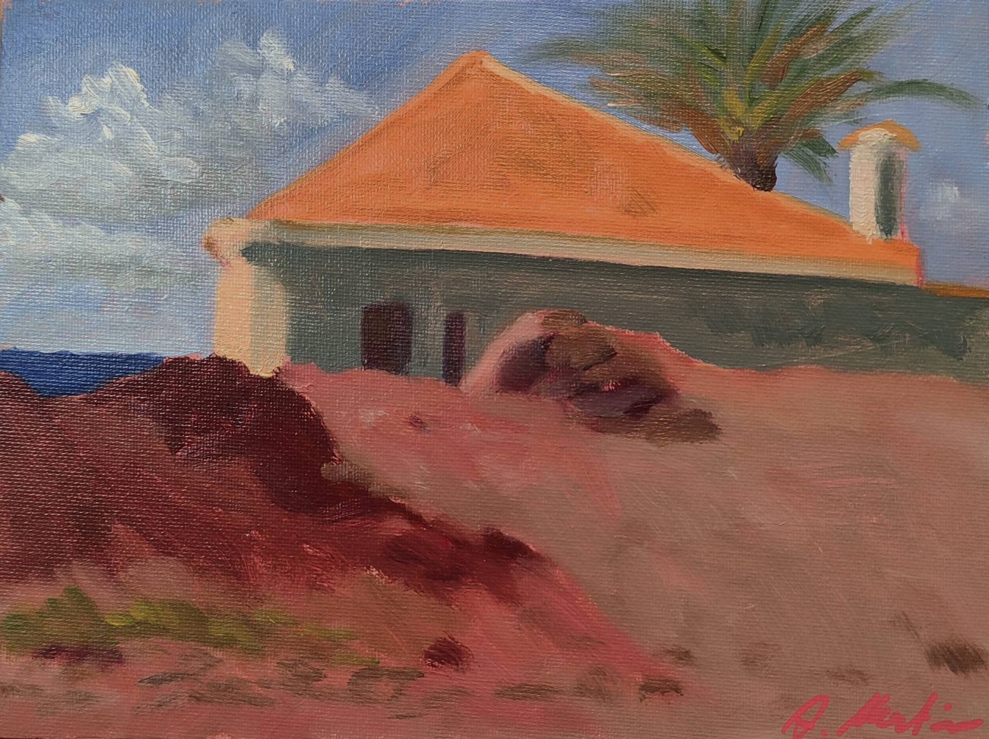 Plein Air Tenerife